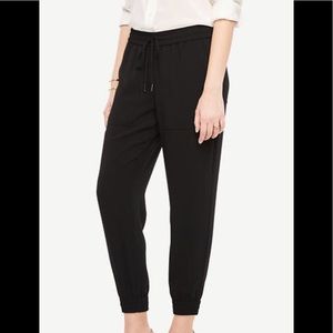 Ann Taylor Jogger Pants